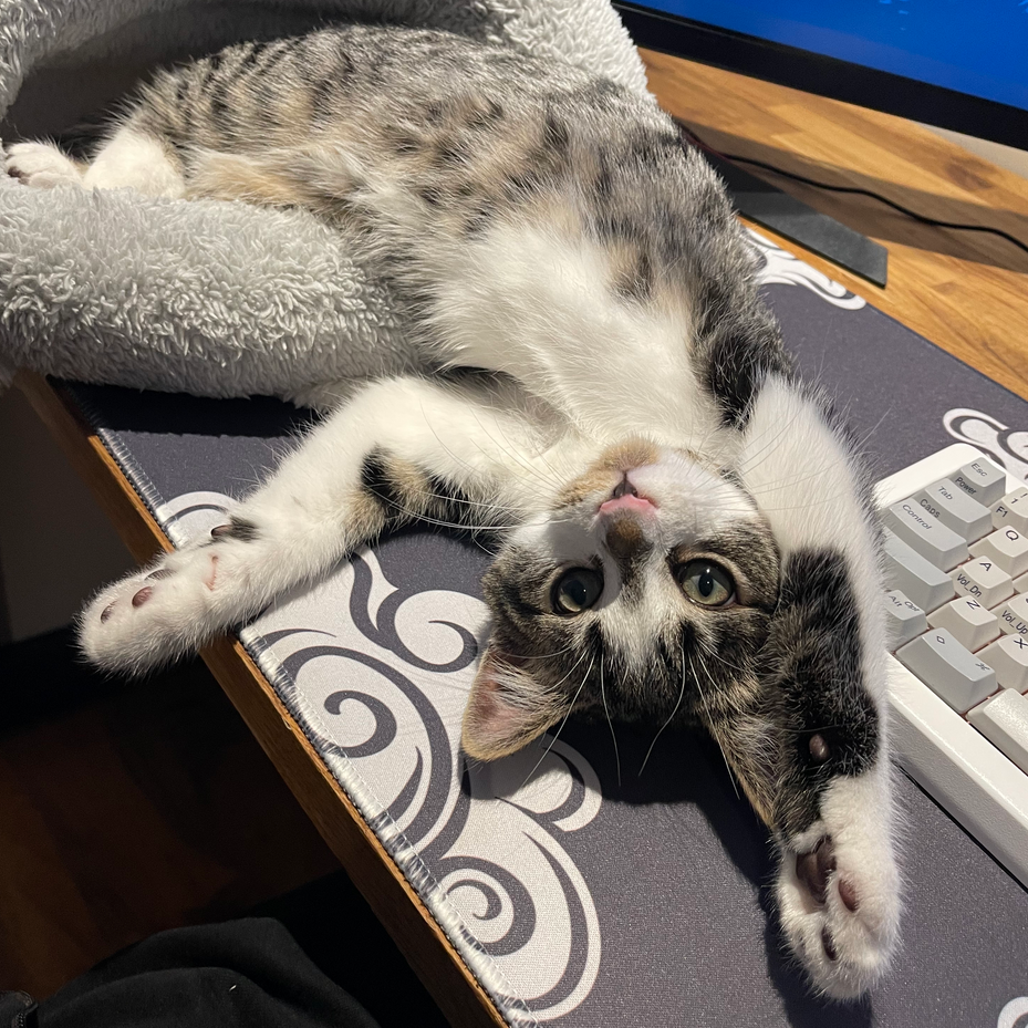 Wayne with Lao Gan Ma